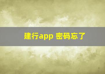 建行app 密码忘了